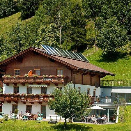 Appartements Hartlbauer Дорфгащайн Екстериор снимка