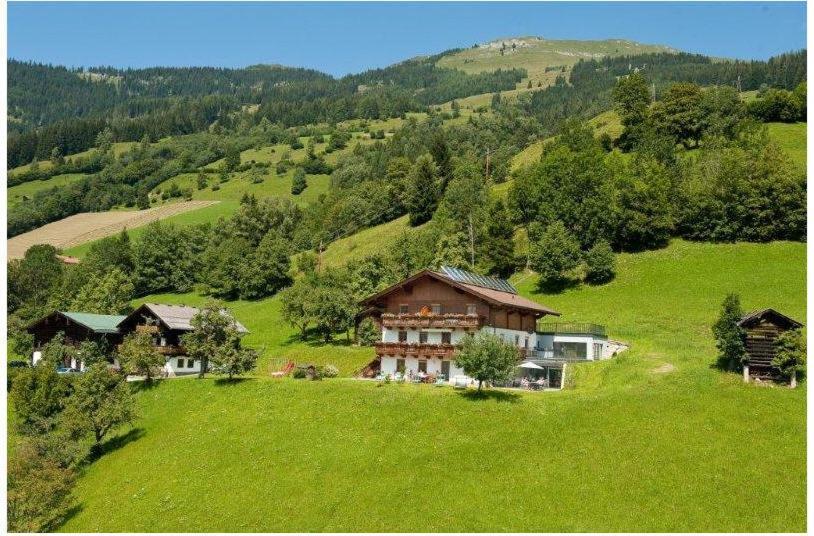 Appartements Hartlbauer Дорфгащайн Екстериор снимка